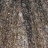 DALIE DRESS