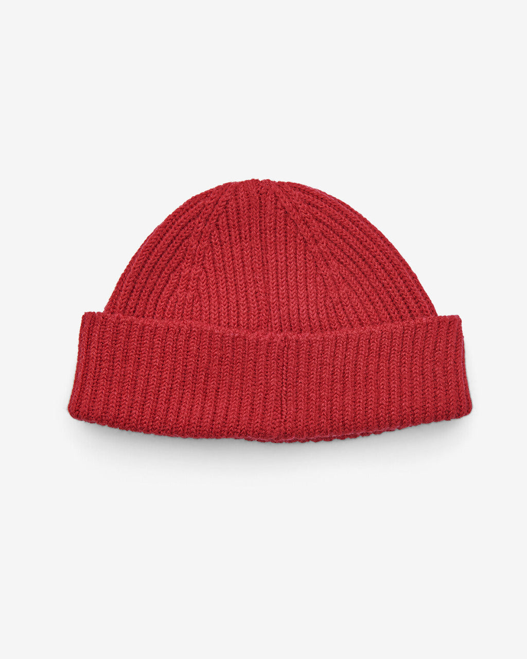 ZAMIA BEANIE